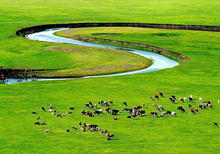 鄂尔多斯繁荣背后的多维探析与观点探析